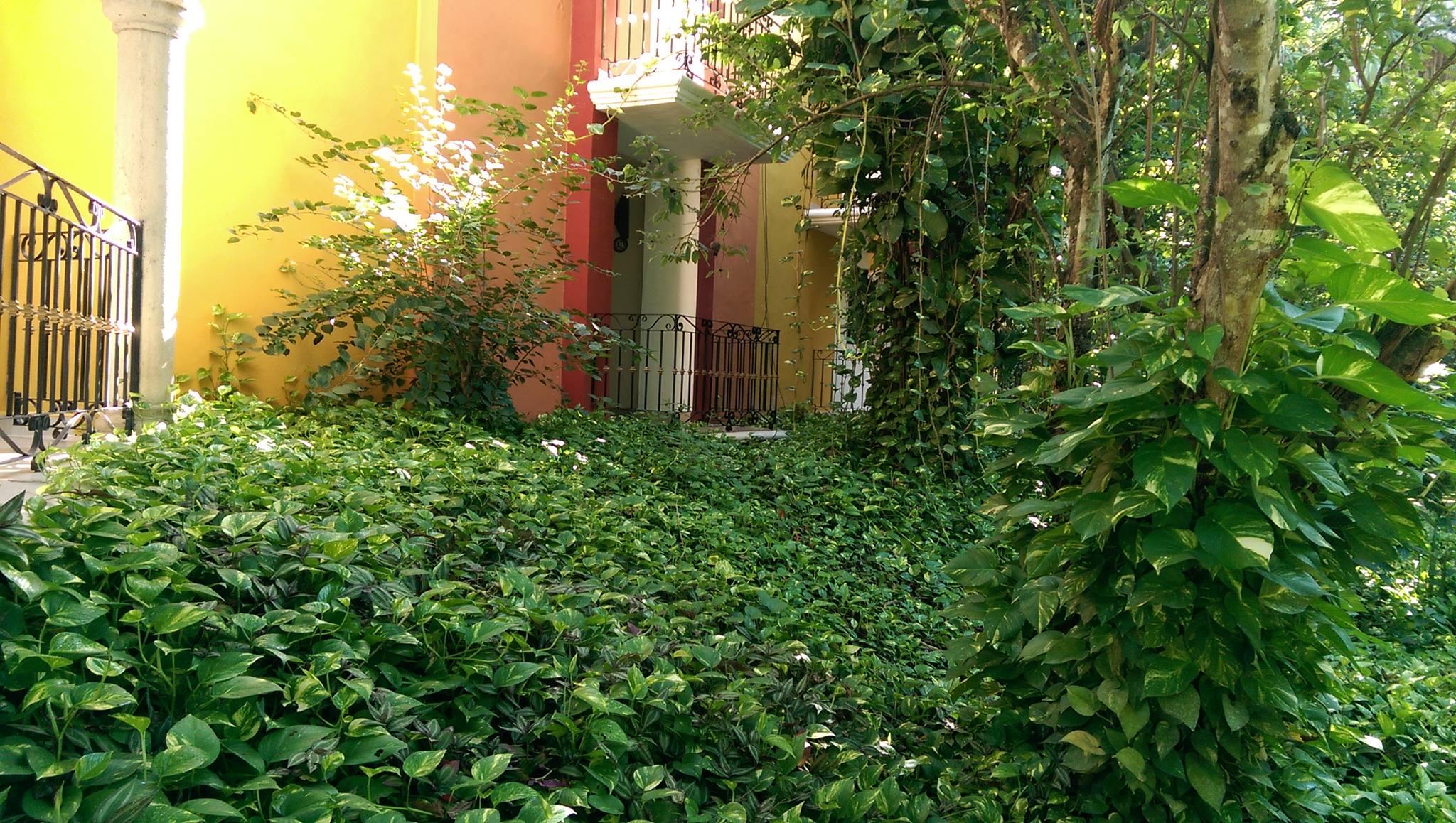 Ecotel Quinta Regia Valladolid  Zewnętrze zdjęcie